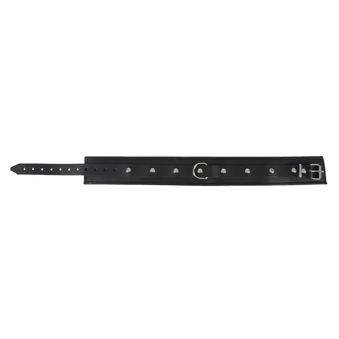Zado Vibrators Zado Padded Edged Unisex Collar Zado Vibrators Zado Padded Edged Unisex Collar
