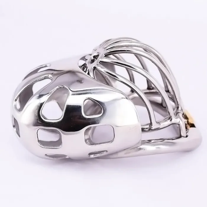CHASTITY CAGE CO Male Cock Cage with Scrotum Testicle Pouch Male Sex Toys