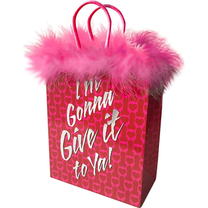 Little Genie Productions Dildos IM Gonna Give It To Ya Gift Bag