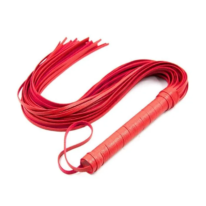Whip Dog Trainer CHASTITY CAGE CO Male Sex Toys