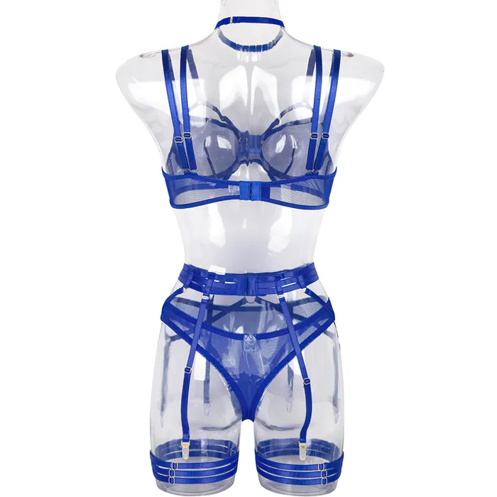 EVEs SECRETS Couples Female Erotic 4Piece Sensual Lingerie Transparent Sexy Shelf Lace Underwear