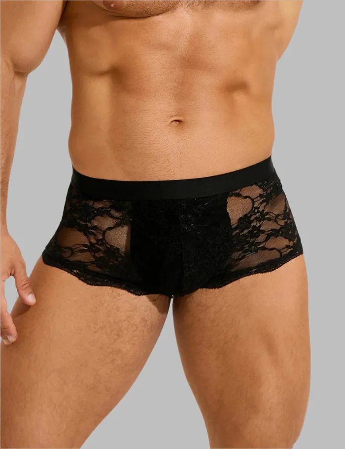 Mens Sexy Lace SeeThrough Briefs by Scandals Menswear Scandals Menswear Female Sex Toys Mens Sexy Lace SeeThrough Briefs by Scandals Menswear Scandals Menswear Female Sex Toys