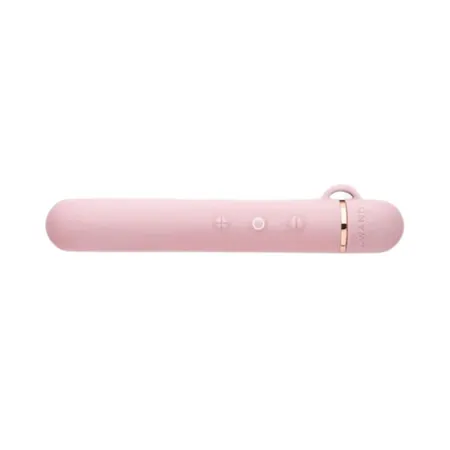 Vibrators Le Wand Baton Le Wand