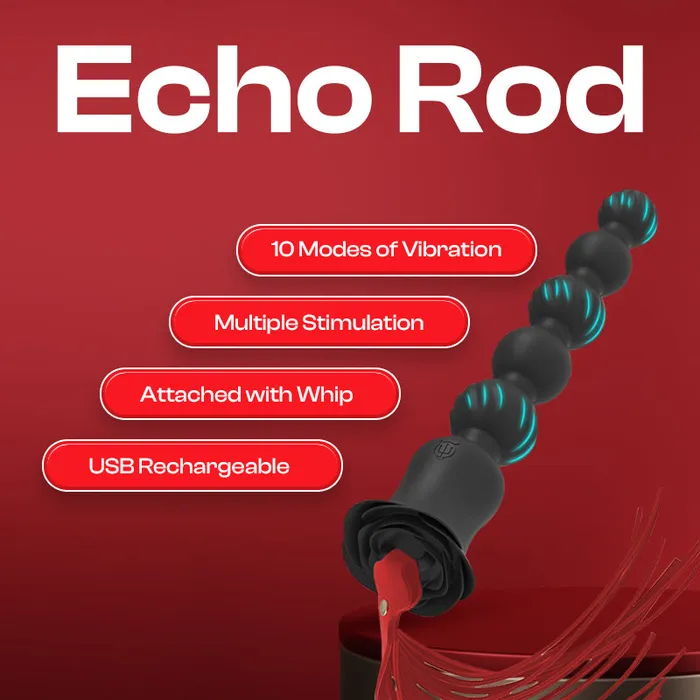 Echo Rod Baton Vibrator with Whip FRISKY BUSINESS SG Female Sex Toys