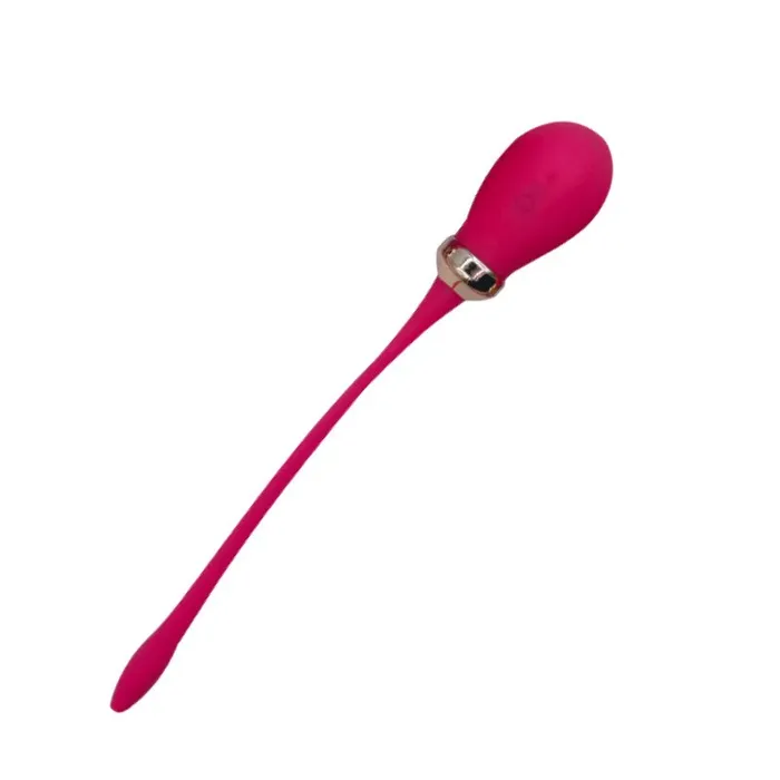 FRISKY BUSINESS SG Female Sex Toys Egg Venture Strong Egg Vibrator