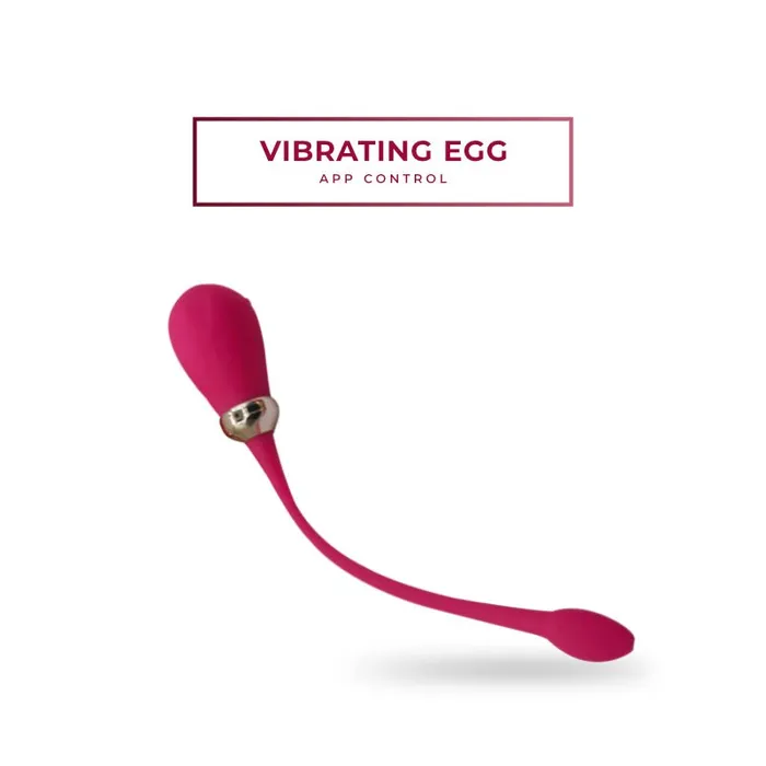 FRISKY BUSINESS SG Female Sex Toys Egg Venture Strong Egg Vibrator