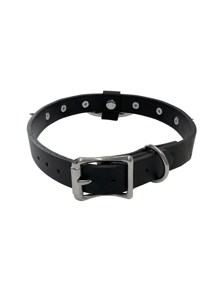 6 Spike Collar With 2 Inch O Ring Black HonourSkintwocom Anal 6 Spike Collar With 2 Inch O Ring Black HonourSkintwocom Anal