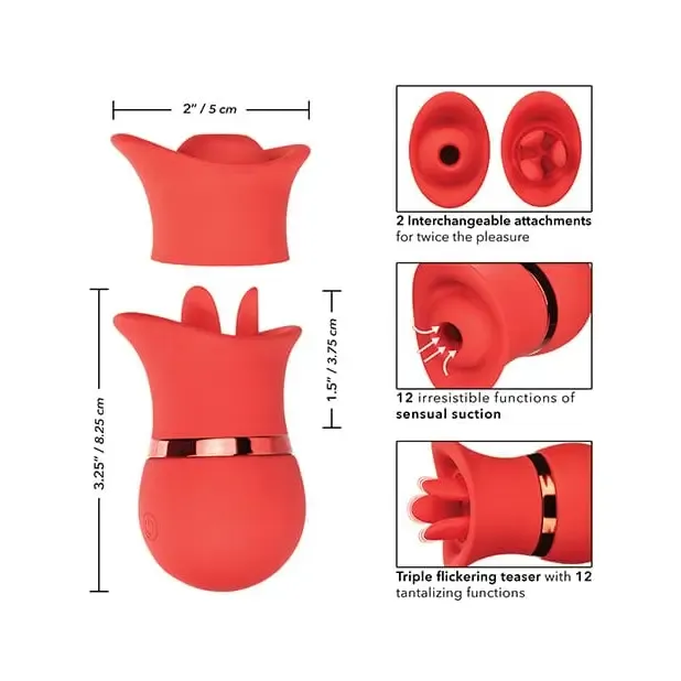 Anal CalExotics French Kiss Suck Play Interchangeable Set Red