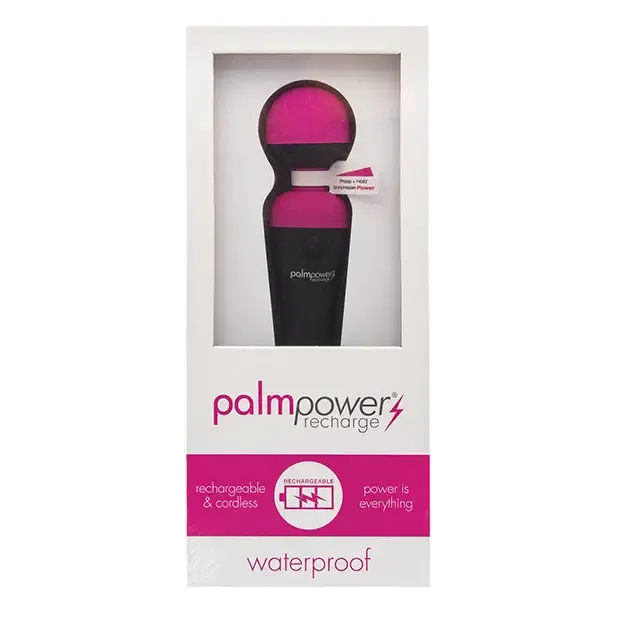 BMS Enterprises Palm Power Rechargeable Massager Female Sex Toys BMS Enterprises Palm Power Rechargeable Massager Female Sex Toys
