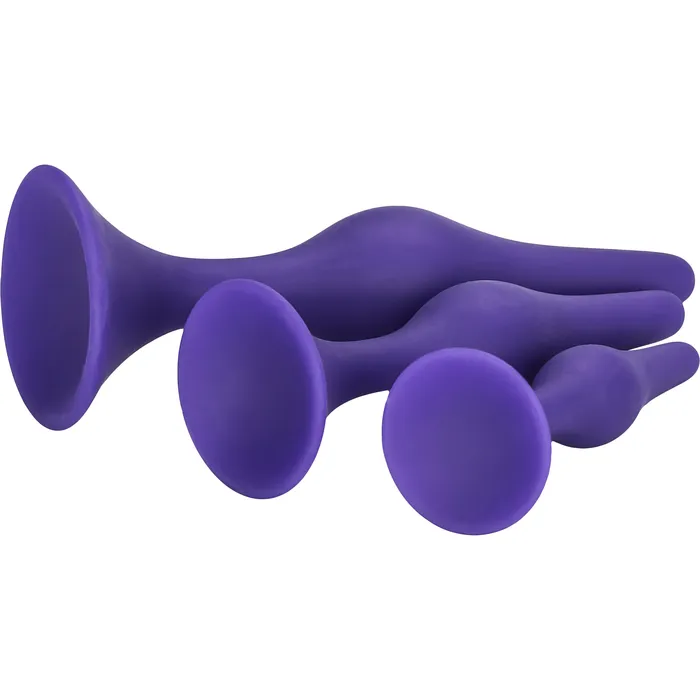 CalExotics Booty Call Booty Training Kit Purple CalExotics Anal