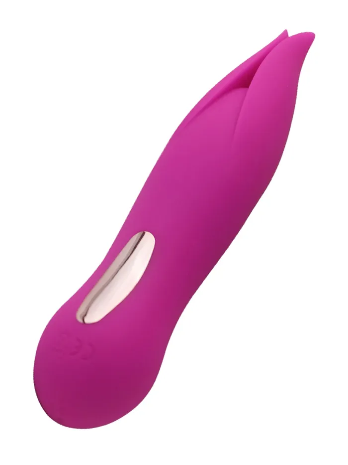 Female Sex Toys HonourSkintwocom Little Secret Hidden Sweetie Vibrator