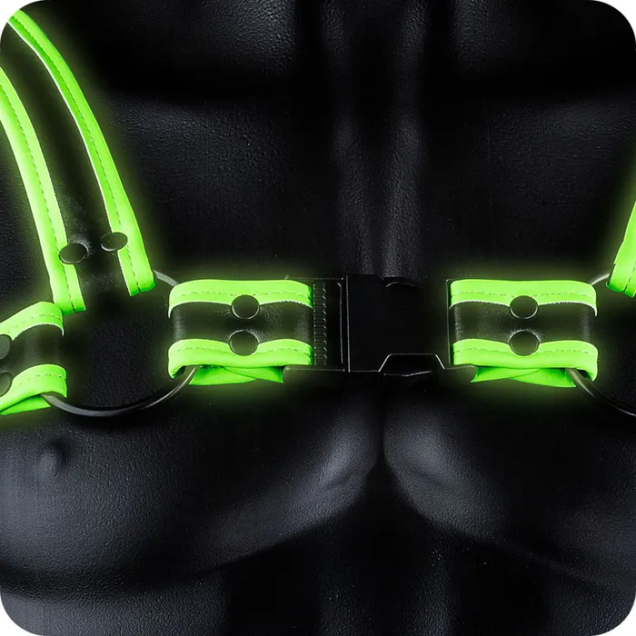 Female Sex Toys Ouch Glow In The Dark Bulldog Buckle Harness XL Shots Toys Female Sex Toys Ouch Glow In The Dark Bulldog Buckle Harness XL Shots Toys