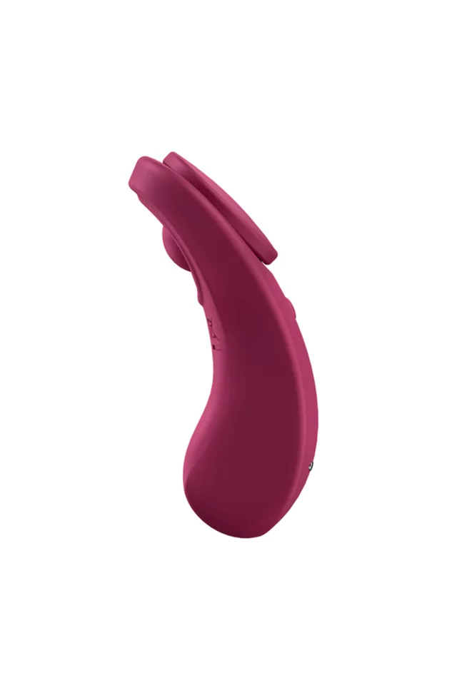 Female Sex Toys Satisfyer Sexy Secret Panty Vibrator