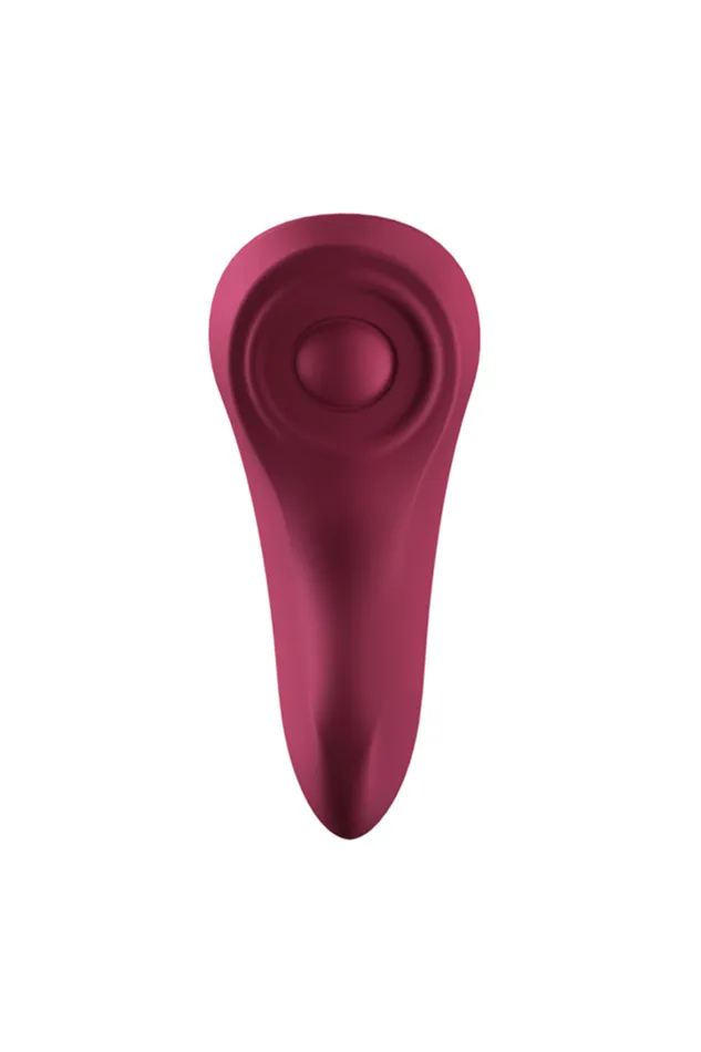 Female Sex Toys Satisfyer Sexy Secret Panty Vibrator