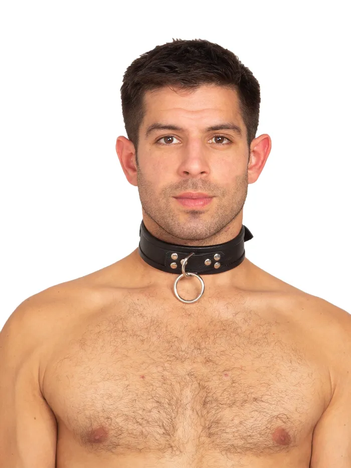 HonourSkintwocom Male Sex Toys Leather DRing ORing Collar in Black