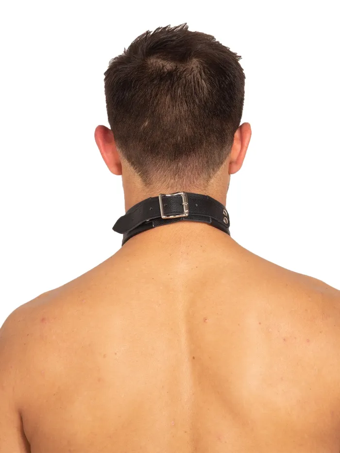 HonourSkintwocom Male Sex Toys Leather DRing ORing Collar in Black