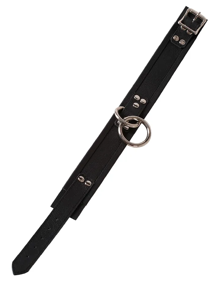 HonourSkintwocom Male Sex Toys Leather DRing ORing Collar in Black