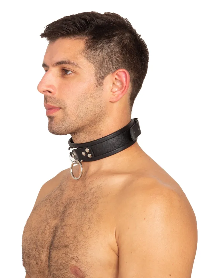 HonourSkintwocom Male Sex Toys Leather DRing ORing Collar in Black