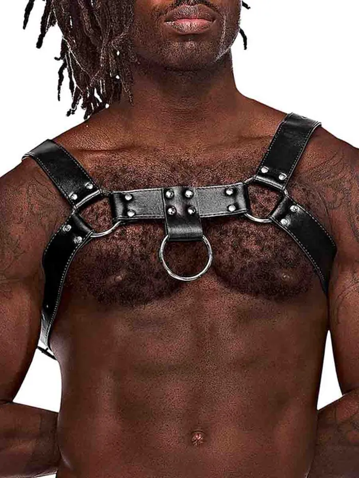 HonourSkintwocom Mens Underwear Aries Leatherette Harness One Size