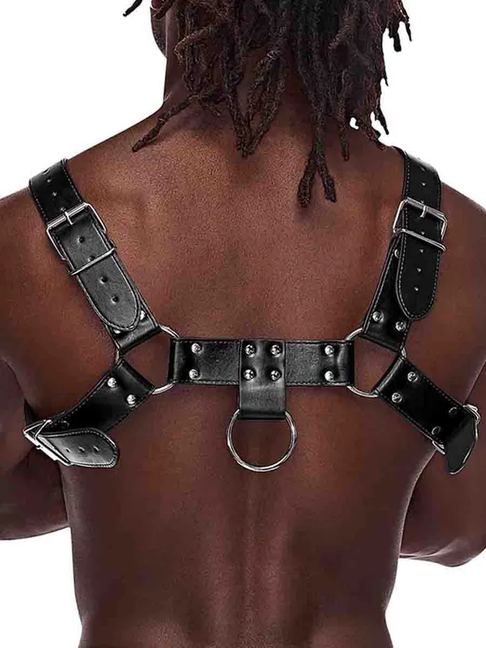 HonourSkintwocom Mens Underwear Aries Leatherette Harness One Size HonourSkintwocom Mens Underwear Aries Leatherette Harness One Size