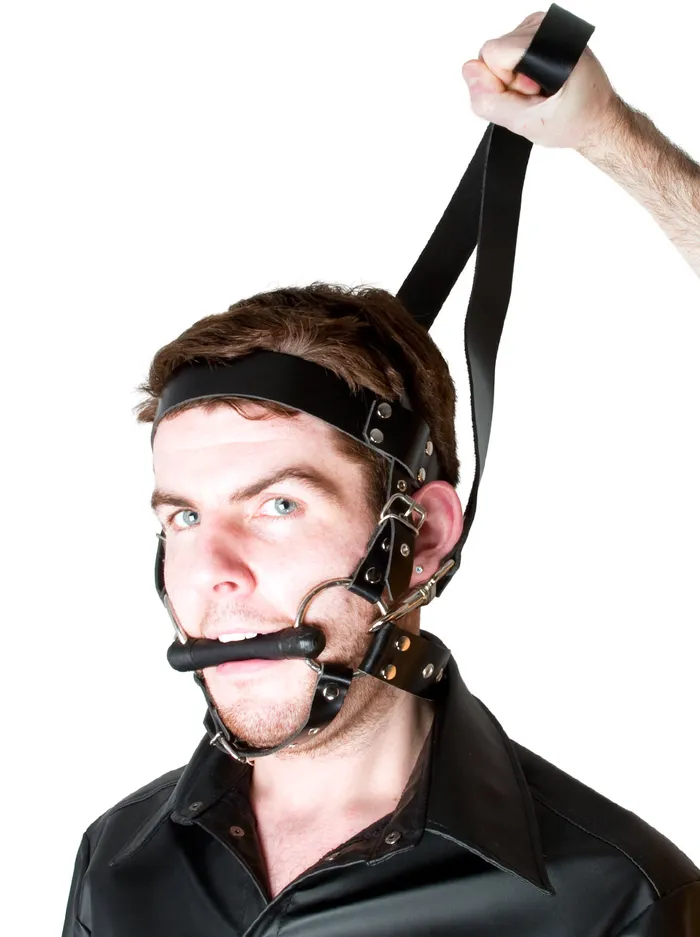 HonourSkintwocom Restraints Leather Bondage Pony Harness