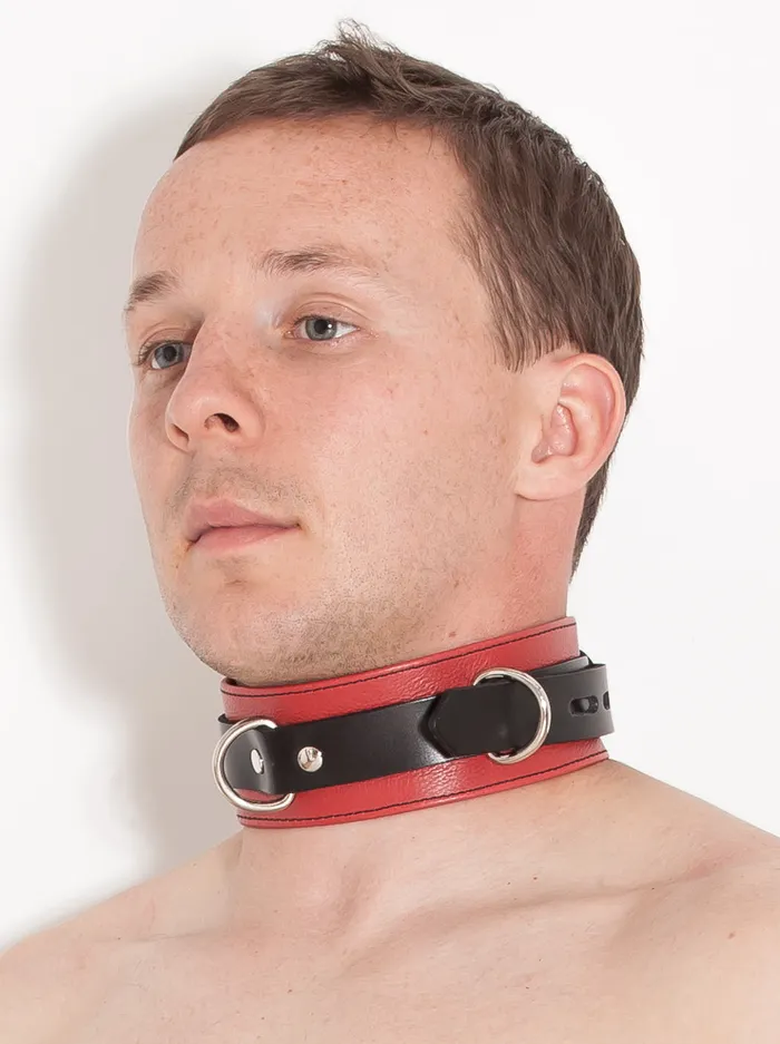 HonourSkintwocom Vibrators Deluxe Locking Red and Black Collar