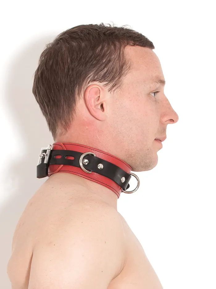 HonourSkintwocom Vibrators Deluxe Locking Red and Black Collar HonourSkintwocom Vibrators Deluxe Locking Red and Black Collar
