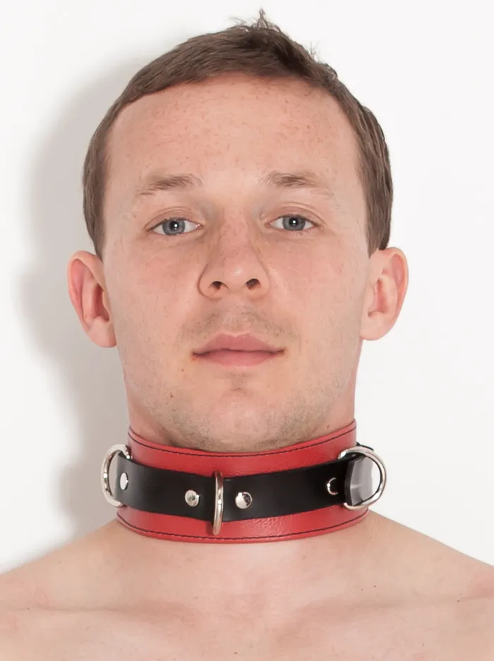 HonourSkintwocom Vibrators Deluxe Locking Red and Black Collar HonourSkintwocom Vibrators Deluxe Locking Red and Black Collar