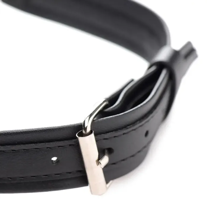 Locking Heart Collar STRICT Anal