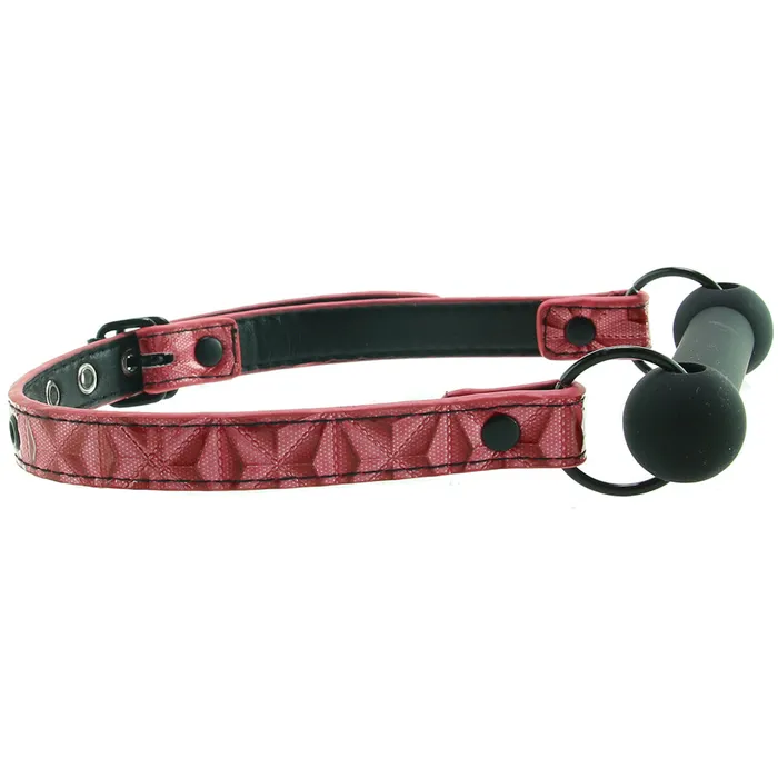 ns novelties Sinful Bar Gag in Pink Vibrators ns novelties Sinful Bar Gag in Pink Vibrators