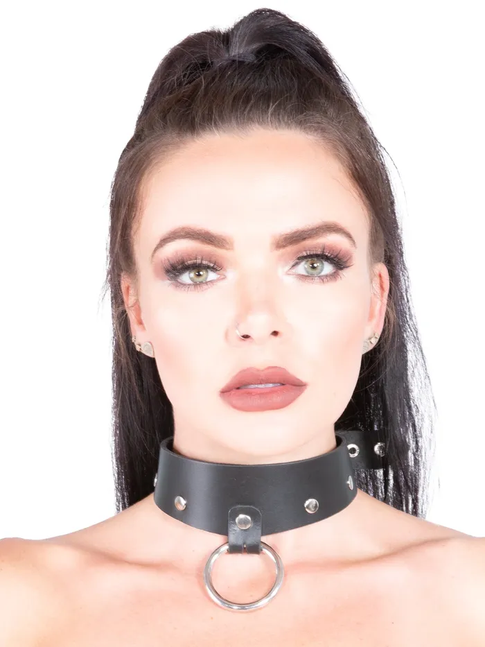 O Ring Studded Leather Collar HonourSkintwocom Male Sex Toys