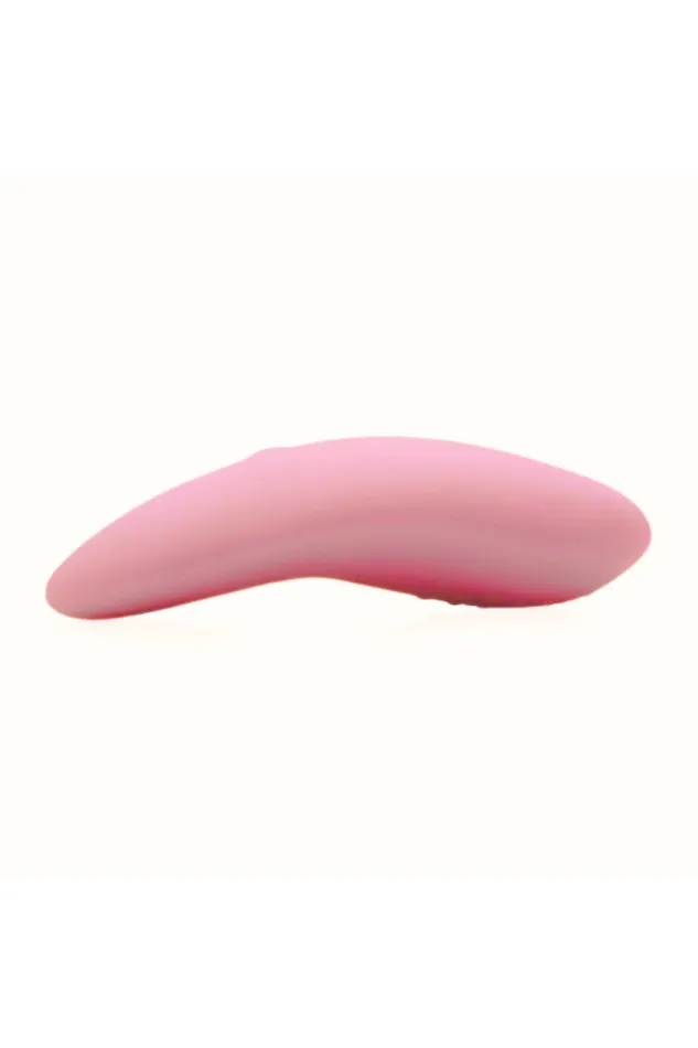 Remote Controlled Panty Vibe FeelzToys Vibrators