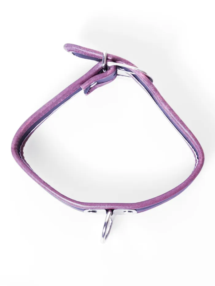 Restraints HonourSkintwocom Black Red Leather Collar Restraints HonourSkintwocom Black Red Leather Collar