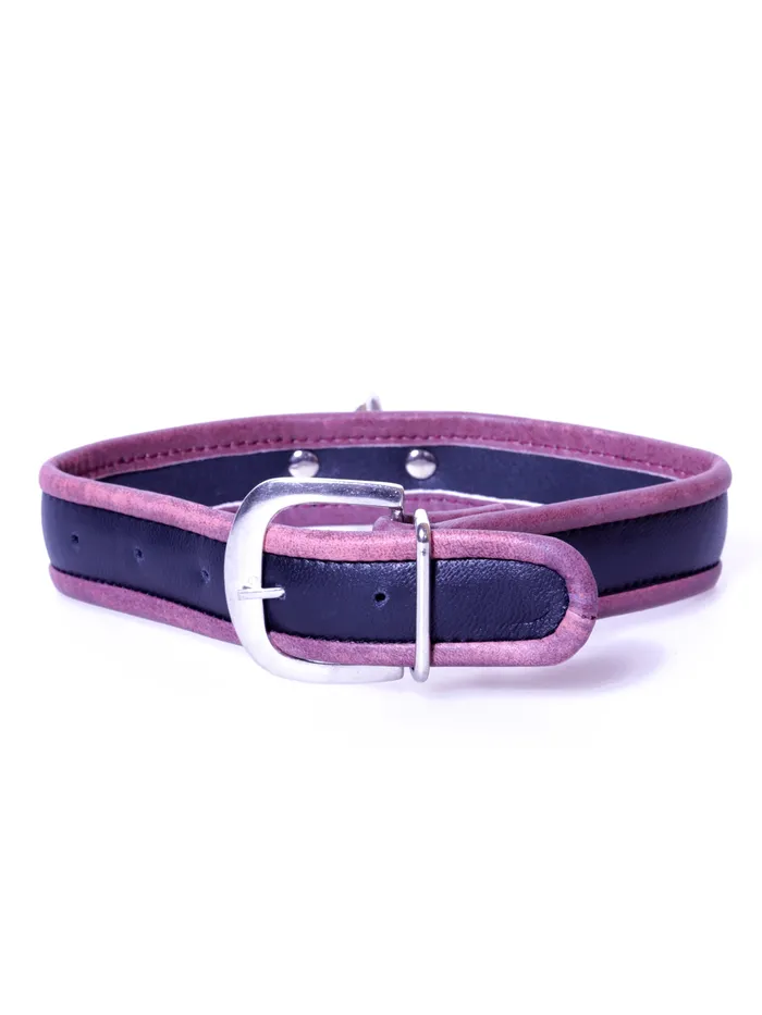 Restraints HonourSkintwocom Black Red Leather Collar Restraints HonourSkintwocom Black Red Leather Collar