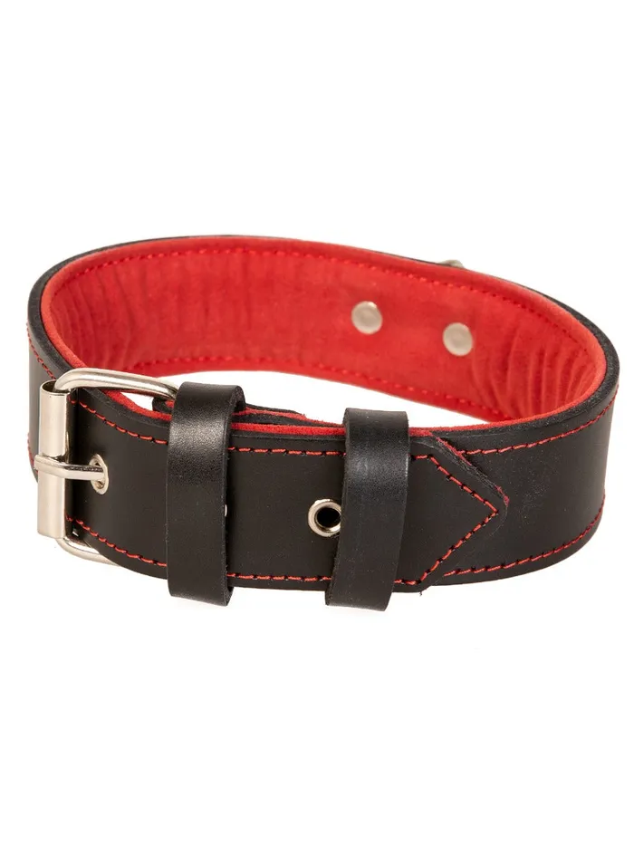 Restraints HonourSkintwocom Red Trim Black Leather Collar With D Ring