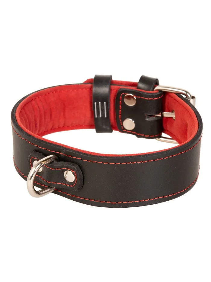 Restraints HonourSkintwocom Red Trim Black Leather Collar With D Ring Restraints HonourSkintwocom Red Trim Black Leather Collar With D Ring