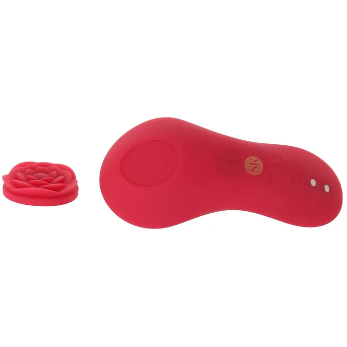 Secret Kisses Surprise Panty Vibe XGen Vibrators