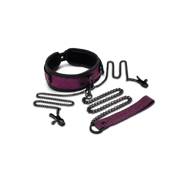 WhipSmart Dragons Lair Collar Leash Nipple Clips Set XGEN Products Female Sex Toys WhipSmart Dragons Lair Collar Leash Nipple Clips Set XGEN Products Female Sex Toys
